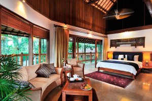 Mason Elephant Lodge